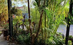Dolphin Cottage Garden Studio